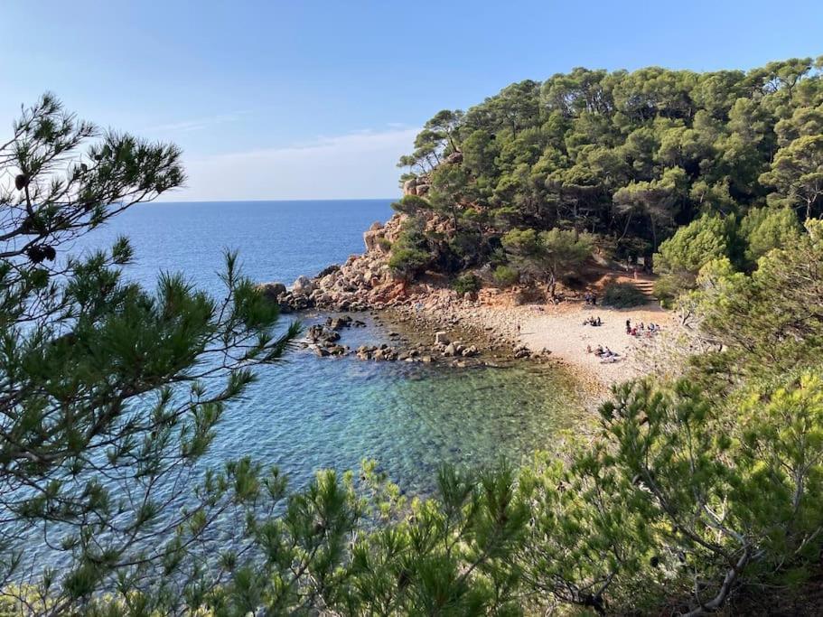 Bandol Roc Beach Vue Mer Grand T3 Face A La Plage Avec Parking Exterior foto